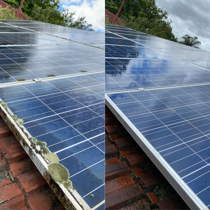 Solar Panel Before and After