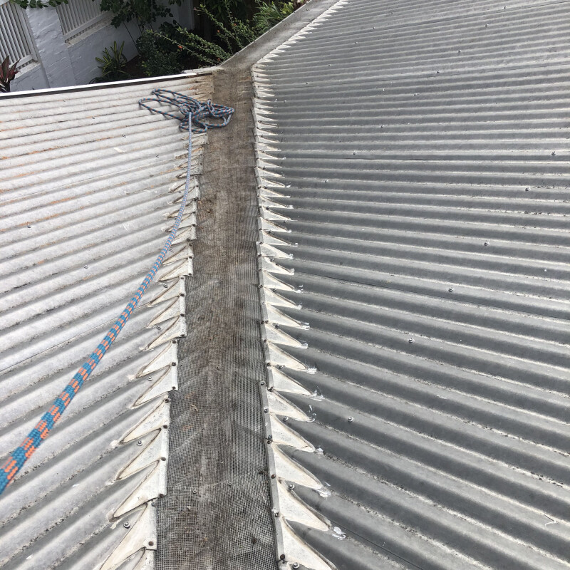 A cleaned gutter with a rope hanging next to it