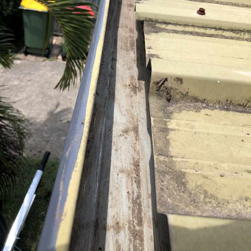 A clean gutter and a palm frond below