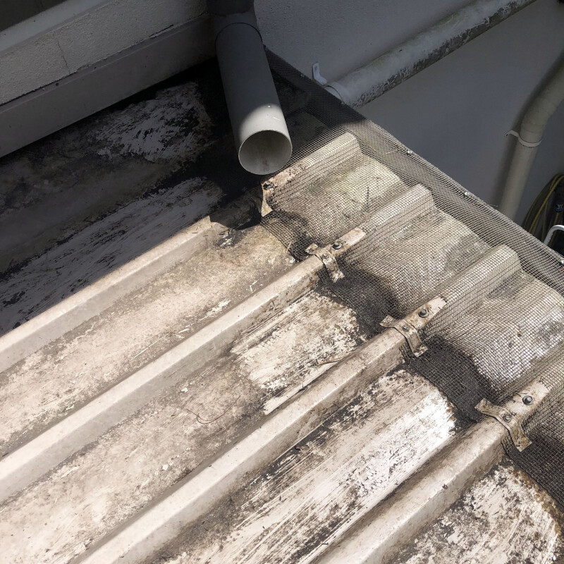 A clean gutter, downpipe and gutter guard